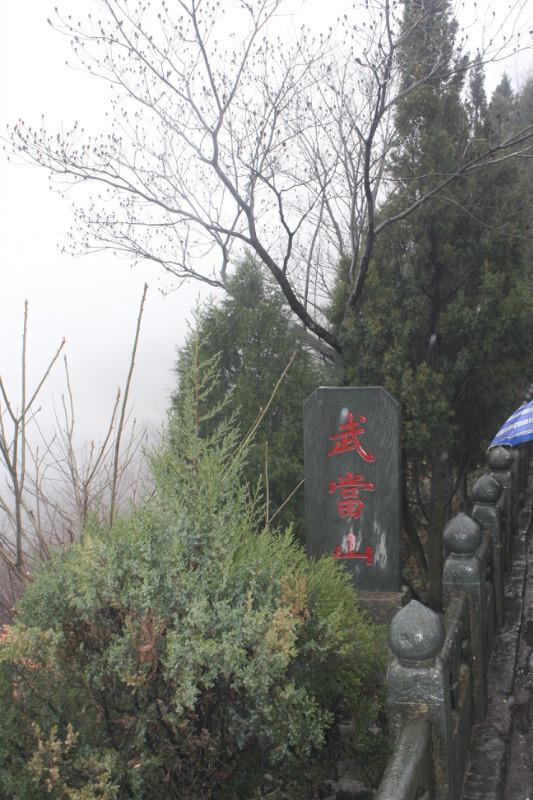 豪门国际官网-追求康健,你我一起生长