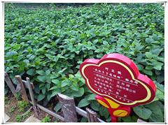 豪门国际官网-追求康健,你我一起生长