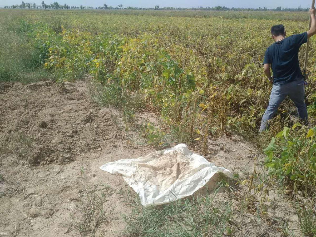 豪门国际官网-追求康健,你我一起生长