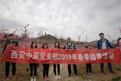 201904111650012927_248x166