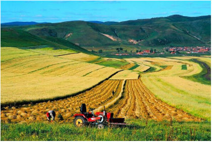 豪门国际官网-追求康健,你我一起生长