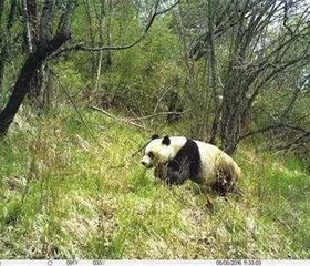 202012081656402171_280x240