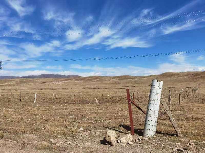 豪门国际官网-追求康健,你我一起生长