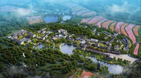 豪门国际官网-追求康健,你我一起生长