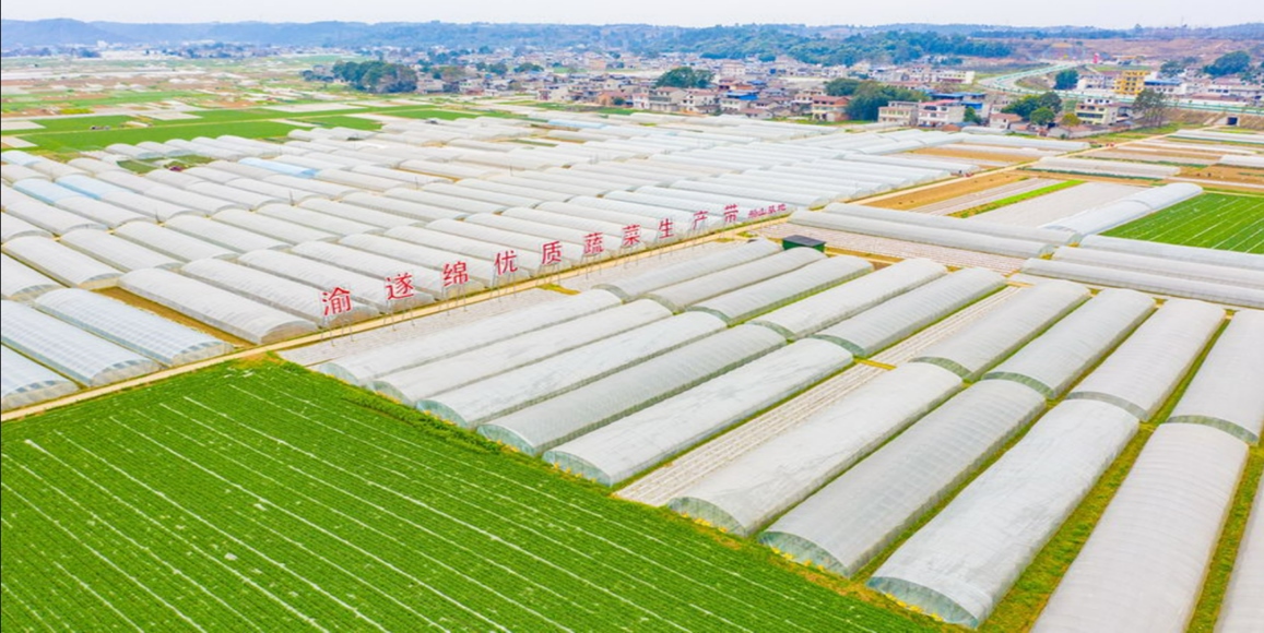 豪门国际官网-追求康健,你我一起生长