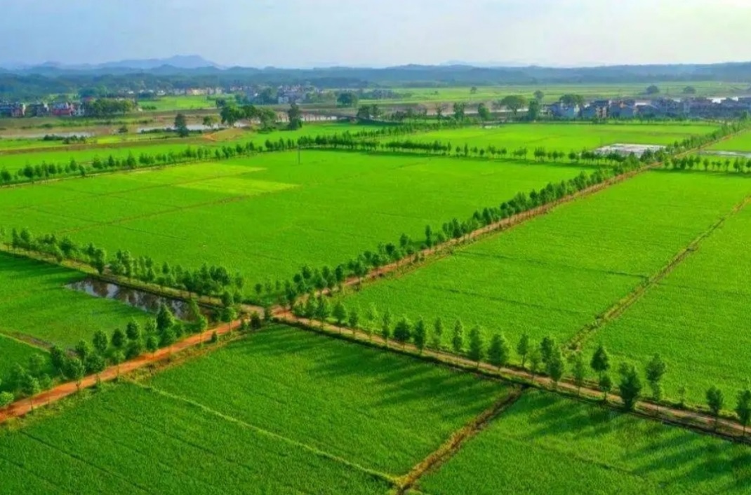 豪门国际官网-追求康健,你我一起生长