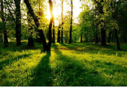 豪门国际官网-追求康健,你我一起生长