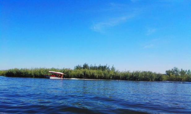 豪门国际官网-追求康健,你我一起生长