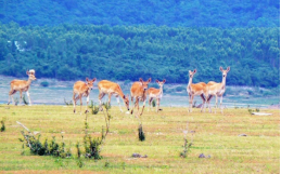 豪门国际官网-追求康健,你我一起生长