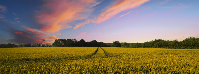 豪门国际官网-追求康健,你我一起生长