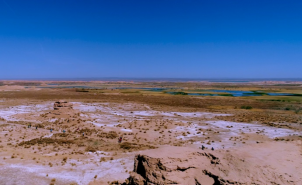 豪门国际官网-追求康健,你我一起生长