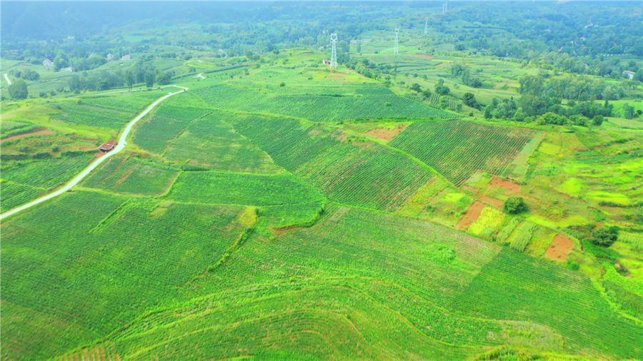 豪门国际官网-追求康健,你我一起生长
