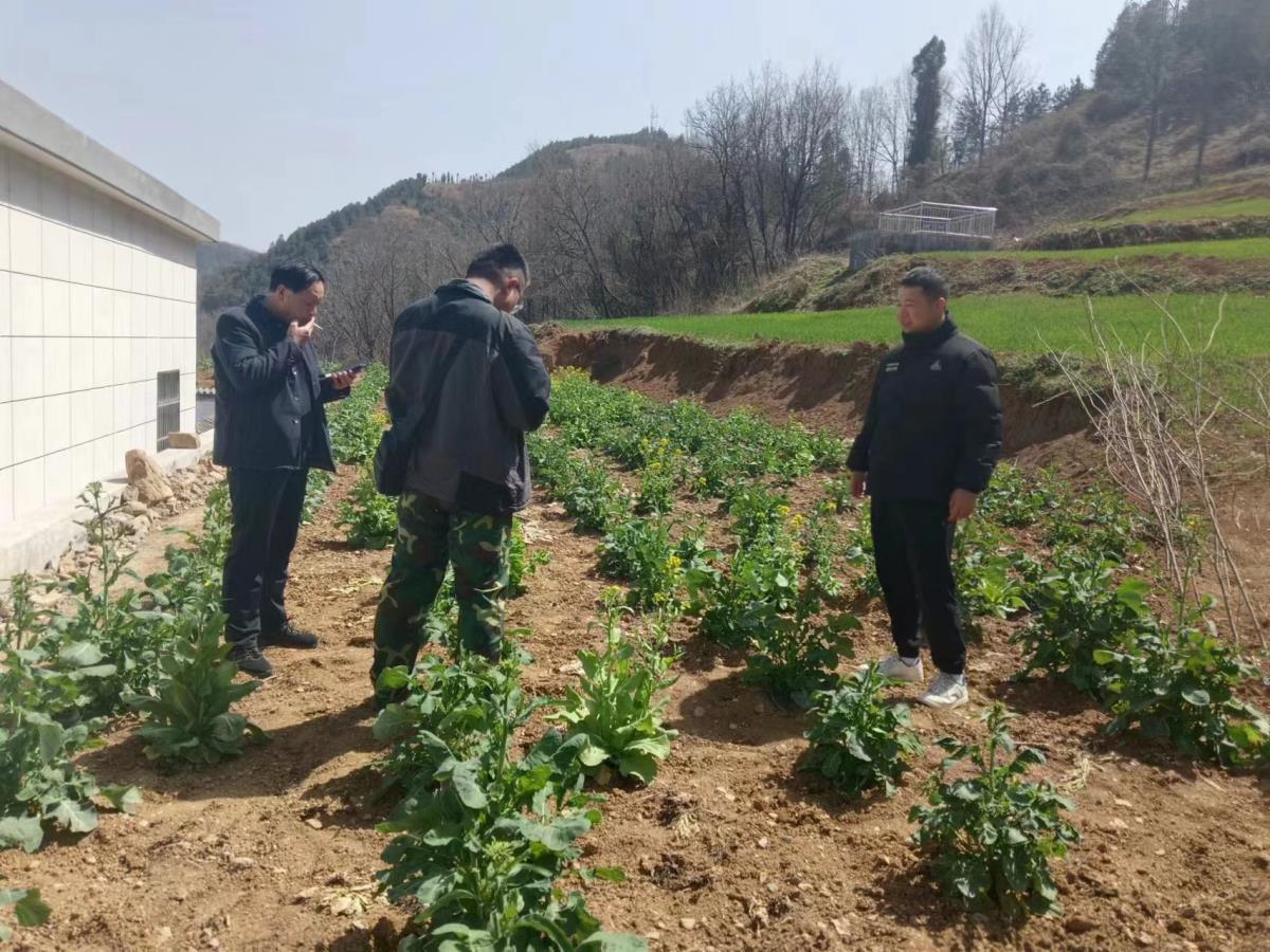 豪门国际官网-追求康健,你我一起生长