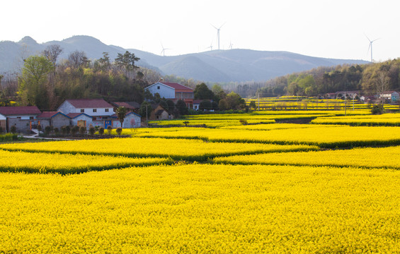 豪门国际官网-追求康健,你我一起生长