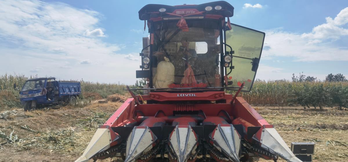 豪门国际官网-追求康健,你我一起生长