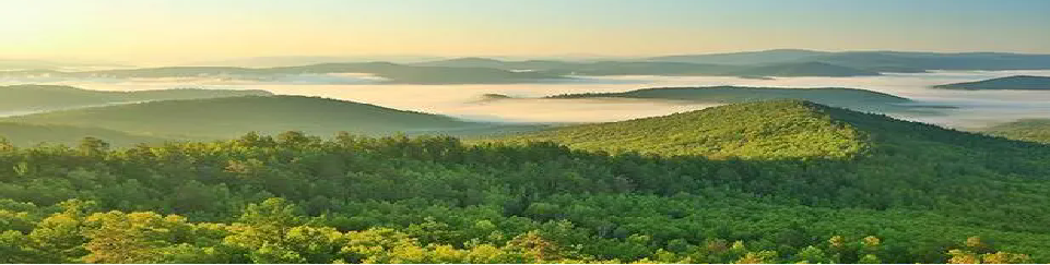 豪门国际官网-追求康健,你我一起生长